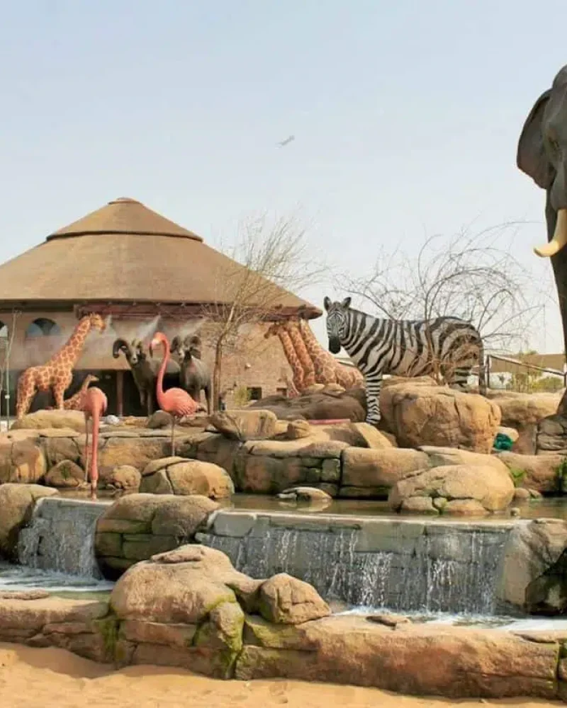 dubai zoo safari